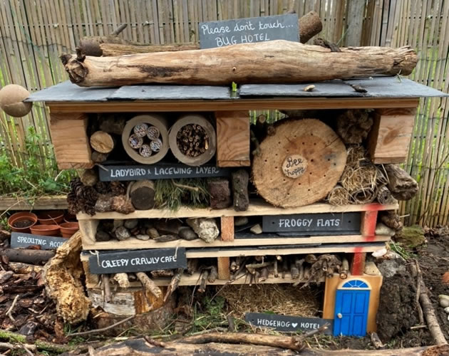 A 'bug hotel' created by the children 