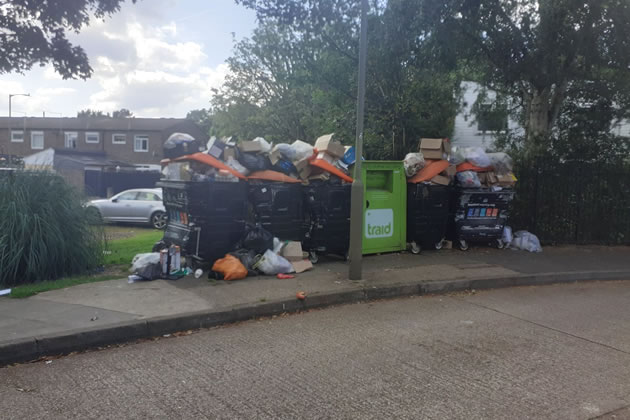 Bins Overflowing On The Lennox Estate